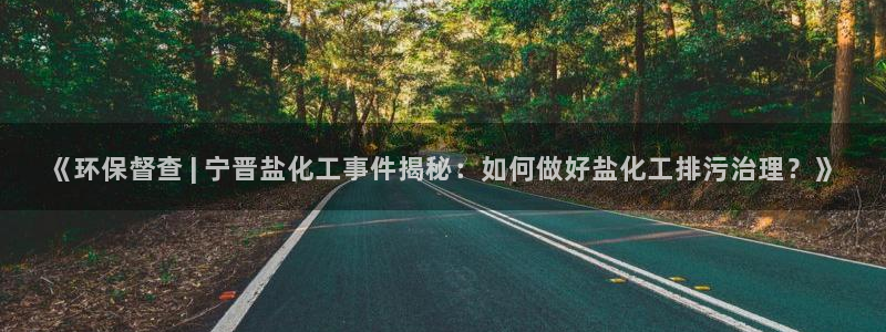 亿万先生手机版入口在哪看：《环保督查 | 宁晋盐化工事件揭秘：如何做好盐化工排污治理？》