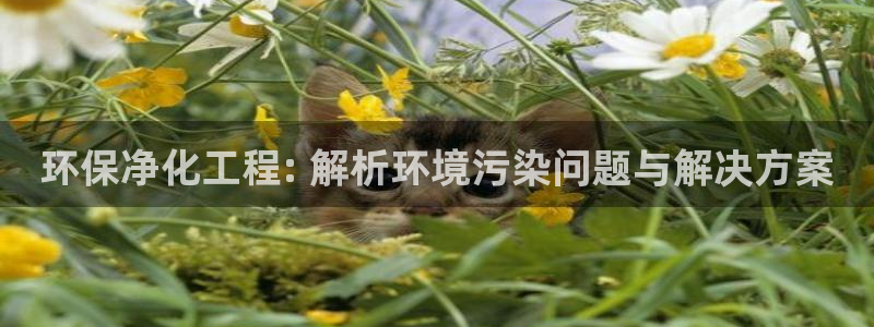 亿万第一季百科