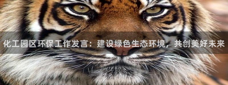 亿万 下载：化工园区环保工作发言：建设绿色生态环境，共创美好未来