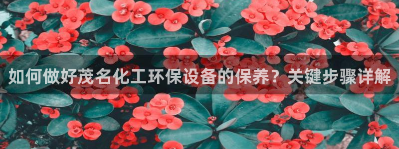 亿万先生官方网站：如何做好茂名化工环保设备的保养？关键步骤详解