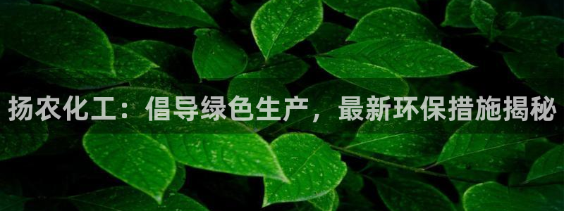 亿万先生官方网站下载：扬农化工：倡导绿色生产，最新环保措施揭秘