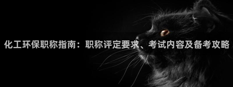 亿万国际合法吗：化工环保职称指南：职称评定要求、考试内容及备考攻略