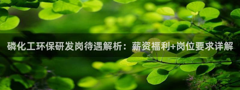 亿万百度百科官网：磷化工环保研发岗待遇解析：薪资福利+岗位要求详解