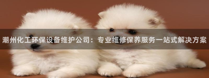 亿万先生网页版登录：潮州化工环保设备维护公司：专业维修保养服务一站式解决方案
