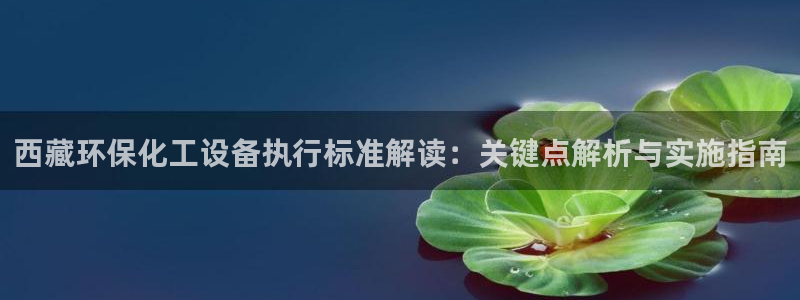 亿万手游官网首页：西藏环保化工设备执行标准解读：关键点解析与实施指南