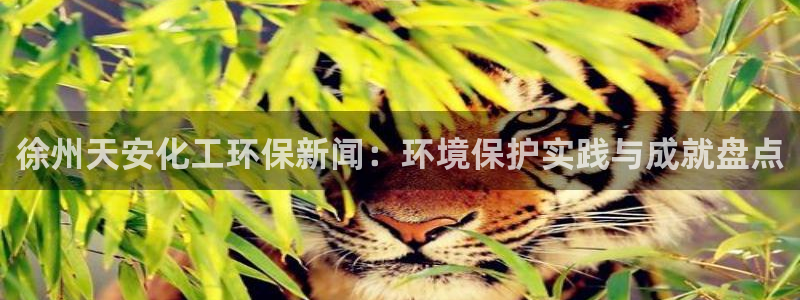 亿万同人字幕组的个人主页：徐州天安化工环保新闻：环境保护实践与成就盘点