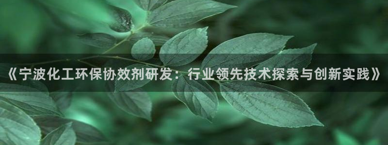 亿万网友在线实时为你解答：《宁波化工环保协效剂研发：行业领先技术探索与创新实践》