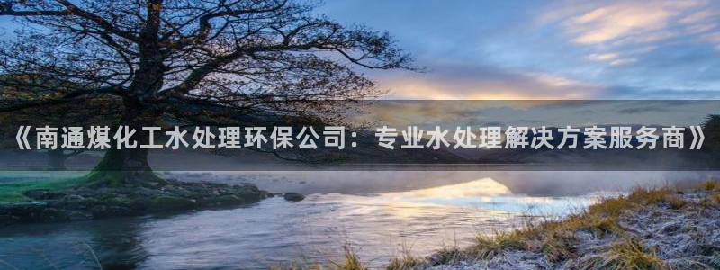 亿万先生现在的网址谁知道是真的：《南通煤化工水处理环保公司：专业水处理解决方案服务商》
