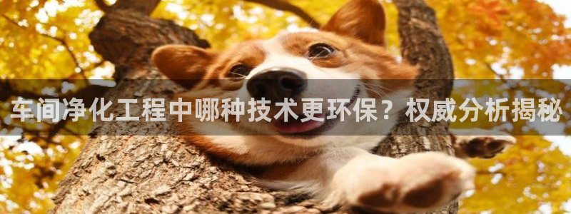 亿万网友在线实时为您解答：车间净化工程中哪种技术更环保？权威分析揭秘