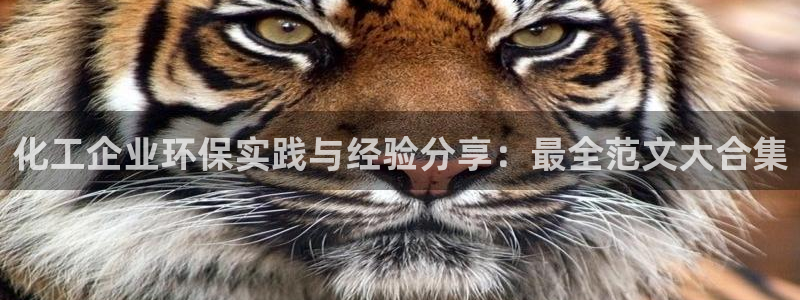 亿万先生网址改了吗