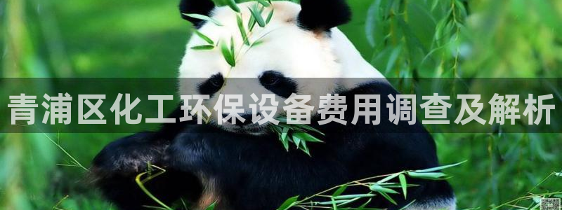 亿万先生手机版入：青浦区化工环保设备费用调查及解析