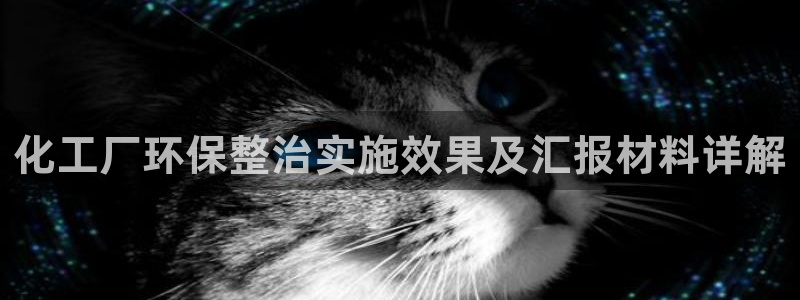 亿万下载徐家汇朋友圈说说：化工厂环保整治实施效果及汇报材料详解