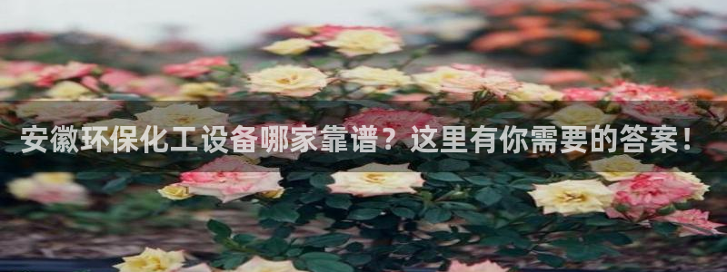 亿万讲什么：安徽环保化工设备哪家靠谱？这里有你需要的答案！