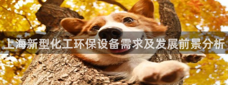 亿万小说免费阅读全文：上海新型化工环保设备需求及发展前景分析