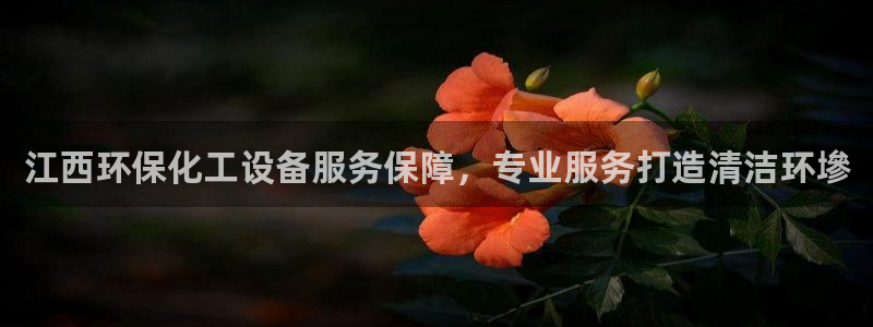 亿万第一集：江西环保化工设备服务保障，专业服务打造清洁环墋
