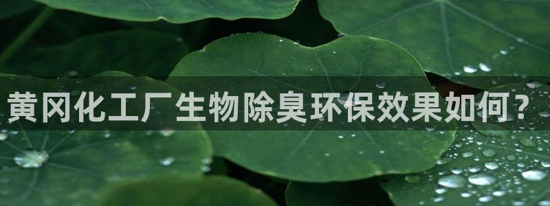 亿万剧情详解