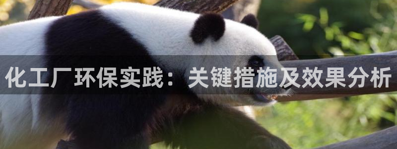 化工厂环保实践：关键措施及效果分析