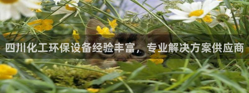 亿万app下载：四川化工环保设备经验丰富，专业解决方案供应商