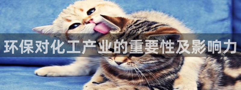 亿万先生客户端官网：环保对化工产业的重要性及影响力