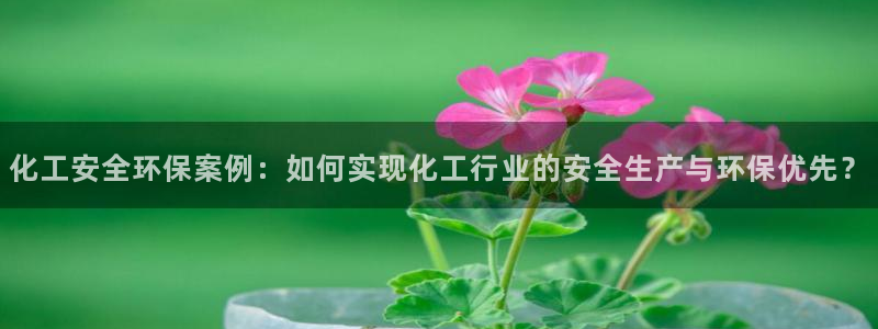 亿万先生客户端下载安装：化工安全环保案例：如何实现化工行业的安全生产与环保优先？