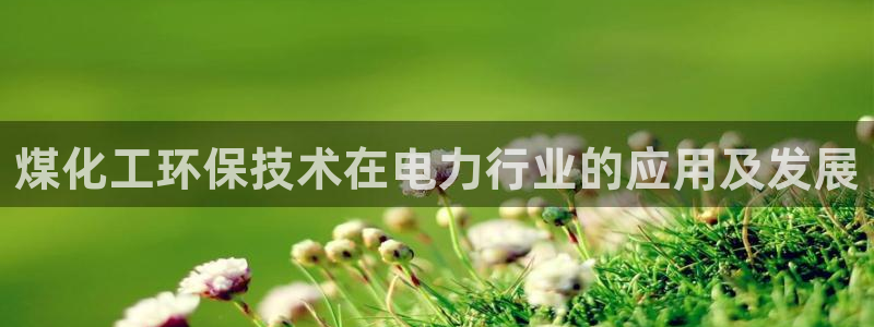 亿万啥意思：煤化工环保技术在电力行业的应用及发展