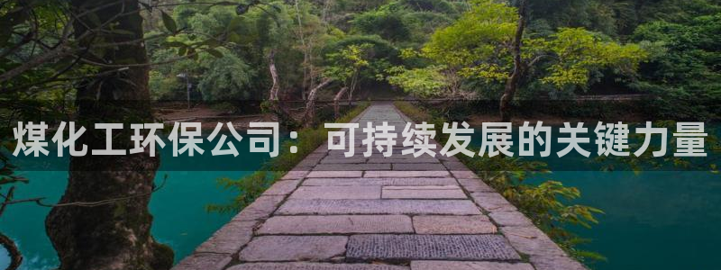 亿万先生 手机版下载：煤化工环保公司：可持续发展的关键力量