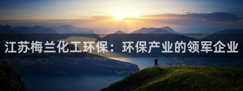 亿万客户端：江苏梅兰化工环保：环保产业的领军企业