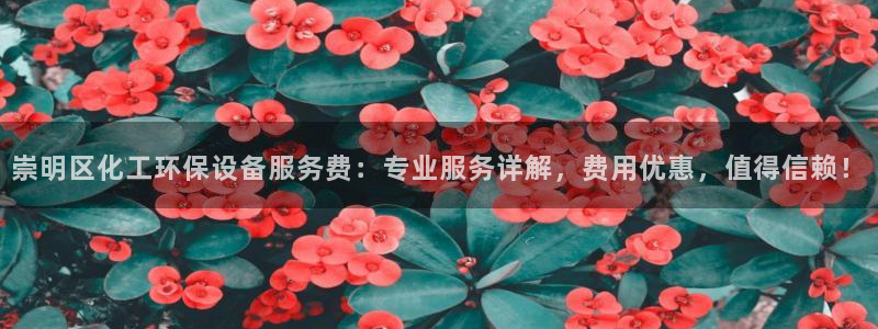 亿万先生客服联系方式：崇明区化工环保设备服务费：专业服务详解，费用优惠，值得信赖！