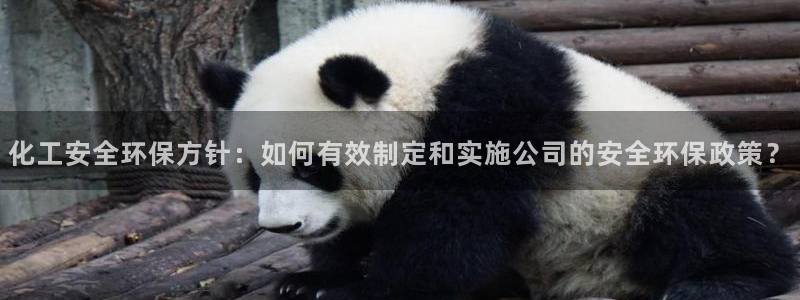 亿万app：化工安全环保方针：如何有效制定和实施公司的安全环保政策？