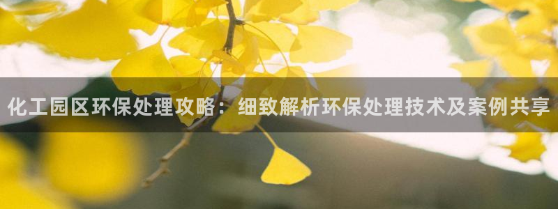 亿万先生客户端官网登录不了：化工园区环保处理攻略：细致解析环保处理技术及案例共享