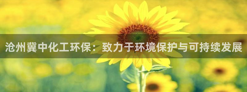 亿万先生手机客户端：沧州冀中化工环保：致力于环境保护与可持续发展