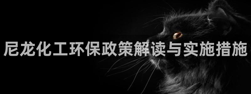 亿万官网字幕组官网下载：尼龙化工环保政策解读与实施措施