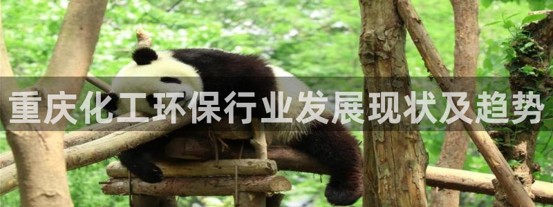 亿万钱包app下载：重庆化工环保行业发展现状及趋势