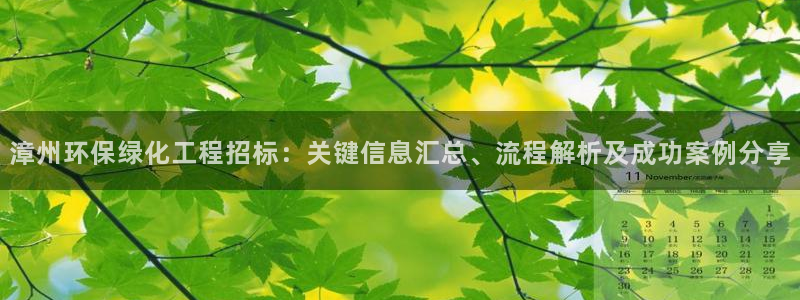 亿万先生合并网址：漳州环保绿化工程招标：关键信息汇总、流程解析及成功案例分享
