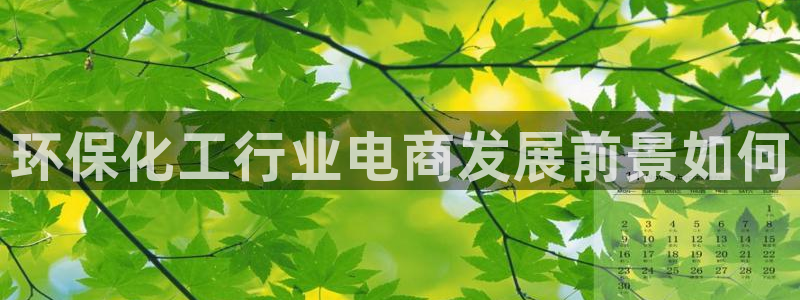 亿万国际游戏官网：环保化工行业电商发展前景如何