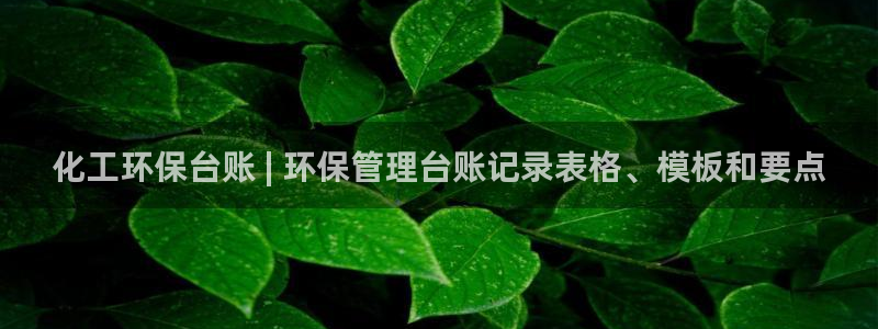 亿万剧情介绍：化工环保台账 | 环保管理台账记录表格、模板和要点