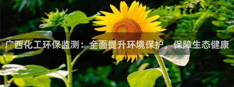 亿万第一季百科：广西化工环保监测：全面提升环境保护，保障生态健康