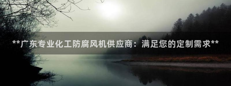 亿万28下载地址：**广东专业化工防腐风机供应商：满足您的定制需求**