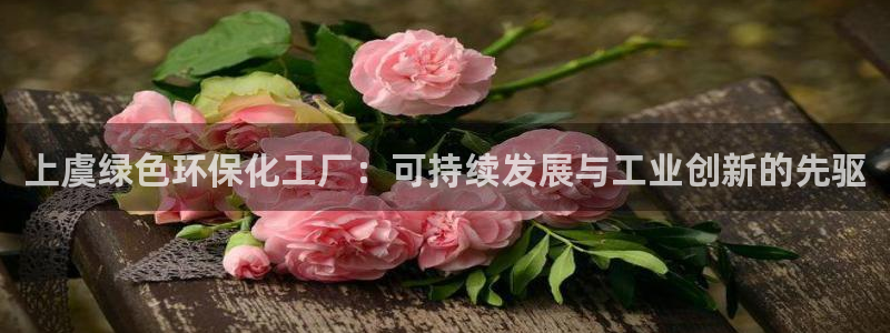 亿万先生网页版登录：上虞绿色环保化工厂：可持续发展与工业创新的先驱