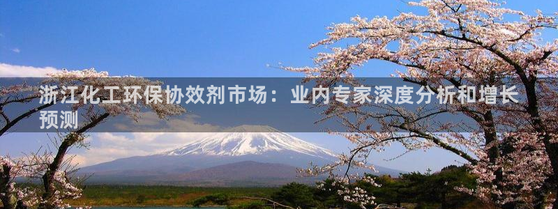 亿万先生充电桩：浙江化工环保协效剂市场：业内专家深度分析和增长
预测