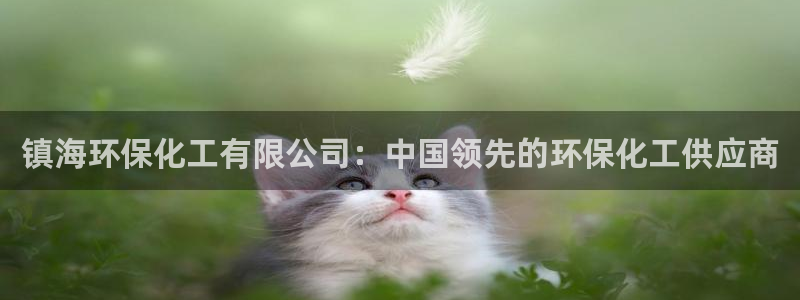 亿万乐购生活超市：镇海环保化工有限公司：中国领先的环保化工供应商