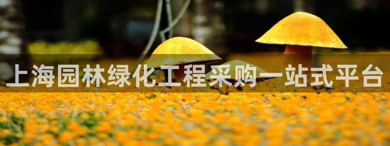 亿万先生网页在线客服：上海园林绿化工程采购一站式平台