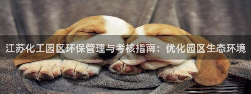 亿万先生客服联系：江苏化工园区环保管理与考核指南：优化园区生态环境
