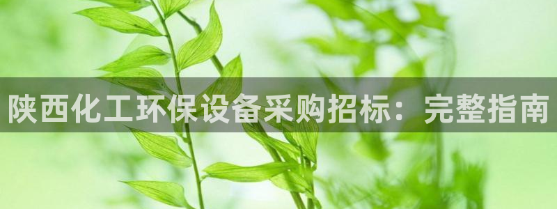 亿万先生客服联系方式查询：陕西化工环保设备采购招标：完整指南