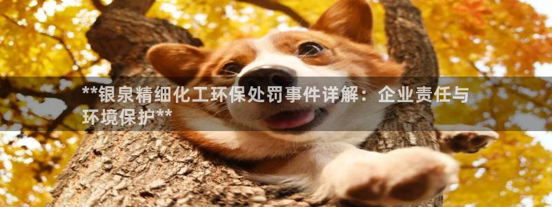 亿万下载第三季：**银泉精细化工环保处罚事件详解：企业责任与
环境保护**