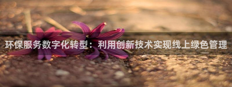 亿万先生游戏平台网址：环保服务数字化转型：利用创新技术实现线上绿色管理