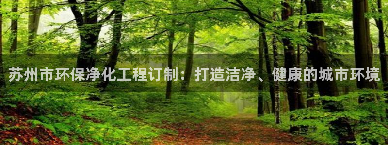 亿万国际app：苏州市环保净化工程订制：打造洁净、健康的城市环境