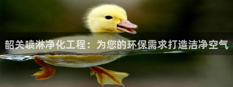 亿万剪辑：韶关喷淋净化工程：为您的环保需求打造洁净空气