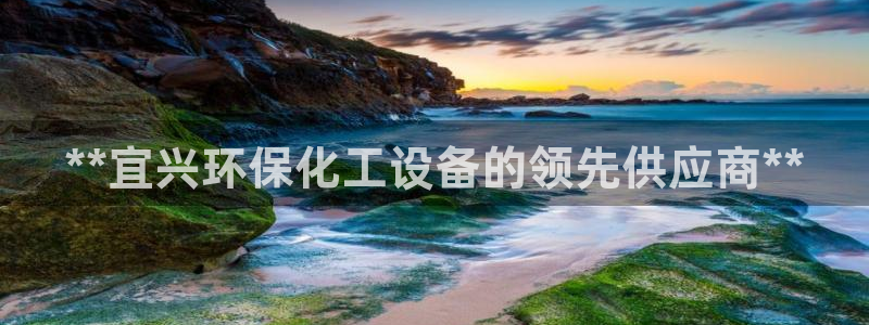 亿万先生手机版入口在哪看：**宜兴环保化工设备的领先供应商**