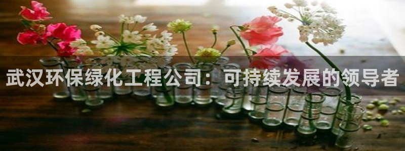 亿万billions：武汉环保绿化工程公司：可持续发展的领导者